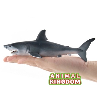 Animal Kingdom - โมเดลสัตว์ ฉลามขาว ขนาด 18.00 CM (จากสงขลา)