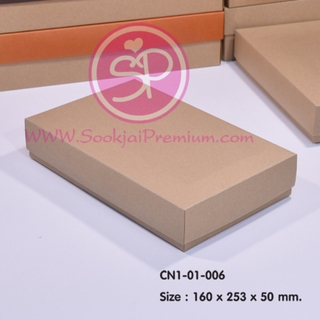 (บรรจุ 20 กล่อง) CN1-01-006 ขนาด 16.0x25.3x5.0 ซม. กล่องฝาครอบ (ฝาทึบ)