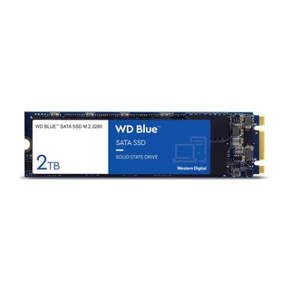 WD BLUE SSD 2TB M.2 2280 SATA 6Gb/s WDS200T2B0B (Warranty 5Y) #สินค้าใหม่ประกันศูนย์100%