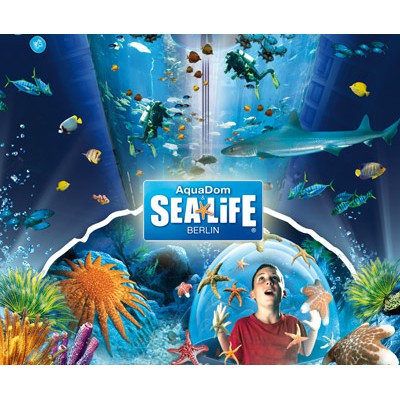 SEA LIFE Bangkok Ocean World for Foreigner (บัตรต่างชาติ)