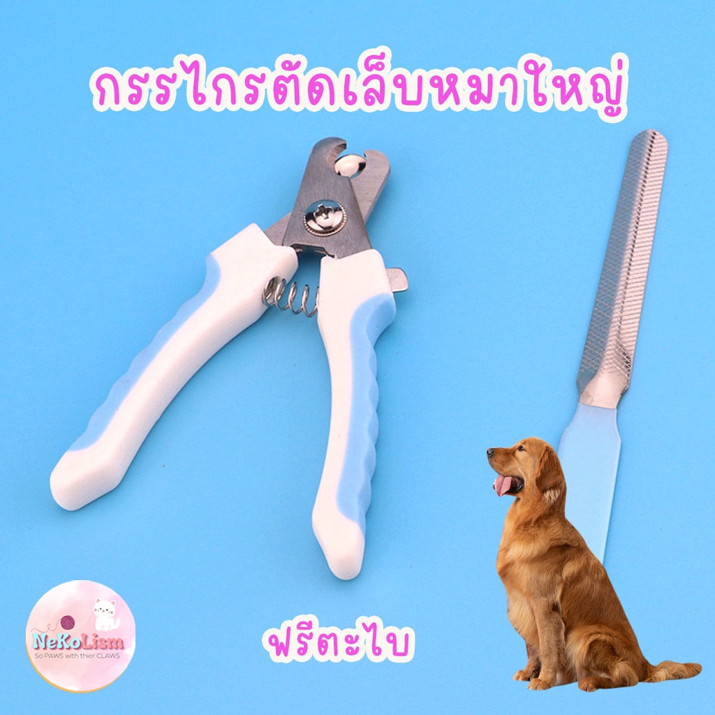 กรรไกรตัดเล็บหมาใหญ่ กรรไกรตัดเล็บสุนัขโต กรรไกรตัดเล็บโกเด้น ไซบีเรียน ลาบาดอร์ nail