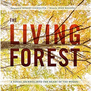 The Living Forest : A Visual Journey into the Heart of the Woods [Hardcover]หนังสือภาษาอังกฤษมือ1(New) ส่งจากไทย