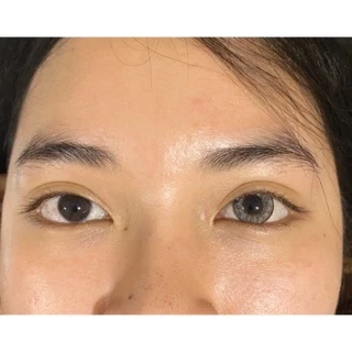 Wink lens (lush) ตาโต