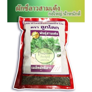 ผักชีลาวซุปเปอร์3เด้ง ขนาด 500 กรัม เมล็ดผักชีลาว ชีลาวสามเด้งลูกโลก ตราลูกโลก กอใหญ่งอกดี