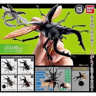 (เพิ่ม 1 แบบมีของพร้อมส่ง) กาชาปองด้วง Gashapon Bandai Kuwagata Stag Beetle Action Vol.01 โมเดลสัตว์