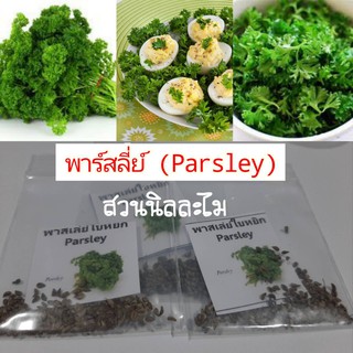 เมล็ดพันธุ์พาสเล่ย์ใบหยิก(Parsley) 80-90 เมล็ด มีบริการเก็บเงินปลายทาง