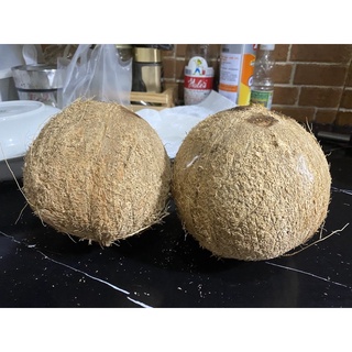 มะพร้าวคั้นกะทิ / มะพร้าวแกง จากสวนบางสะพาน/ทับสะแก size ใหญ…