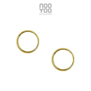 NooYoo ต่างหูสำหรับผิวแพ้ง่าย Hinged Segment Ring Surgical Steel