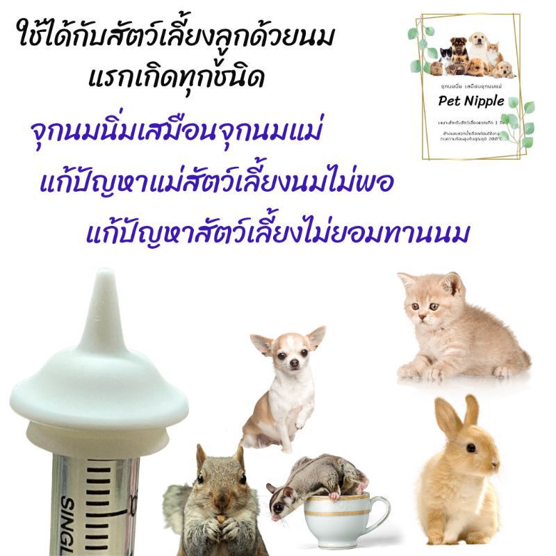 จุกป้อนนมแมว Pet Nipple (ชุดขวดนม) ใช้ได้กับ สัตว์เลี้ยงแรกเกิด แมว สุนัข กระรอก กระต่าย สัตว์ฟันแทะ