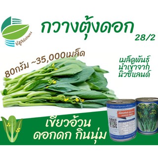 กวางตุ้งดอก กระจ้อน ~35,000 เมล็ด (Flowering​ Pak​ Choy​ )​