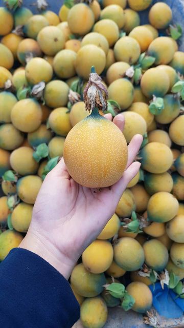 เมล็ดเสาวรสหวานโคลัมเบีย granadella เนื้อข้างในสีขาวรสชาติหวานหอมมากคล้ายลิ้นจี่ผสมน้ำผึ้งไม่ติดเปรี้ยว - รูปที่ 6