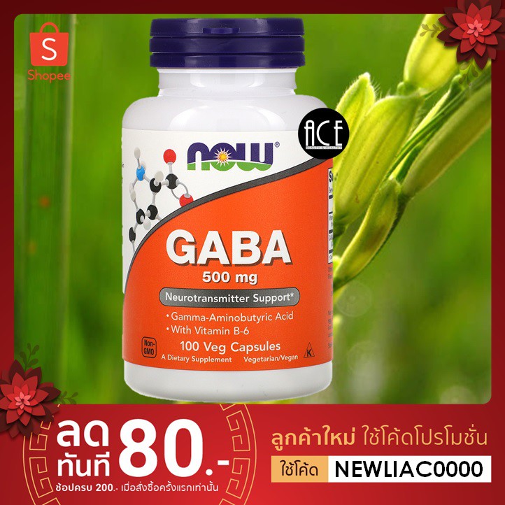 พร้อมส่ง!! Now Foods : GABA : 500 mg ; Gamma Aminobutyric Acid (GABA), 100 Veg Capsules