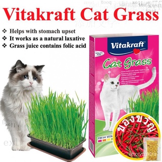 Vitakraft Cat  Cat Snack Grow your Cats organic grass/ Cat  Seed/ Cat Easy Grow Oat edเมล็ดเชีย เมล็ดกุหลาบ เมล็ดดอกไม้