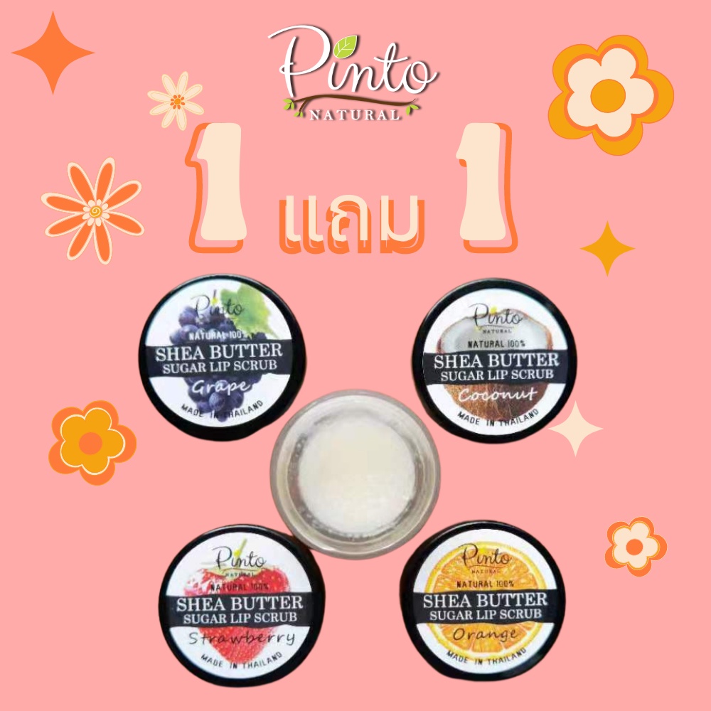1 แถม 1 Pinto Natural Sugar Lip Scrub ลิปสครับน้ำตาลผสมเชียบัตเตอร์