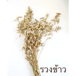 [Hamsterthailand]Flaxseed เฟล็ก มิลเล็ตสเปรย์ ข้าวฟ่าง ธัญพืช แทะคลายเครียด ขนมแฮมสเตอร์ อาหารนก