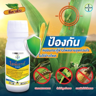 หนอนบุกในไร่ข้าวโพด 💢 จัดการด้วย “ไลน์เอาท์” ✔️ปลอดหนอนนาน ✔️ต้นไม่ถูกทำลาย ✔️ผลผลิตไม่เสียหาย (100 ซีซี) จากไบเออร์