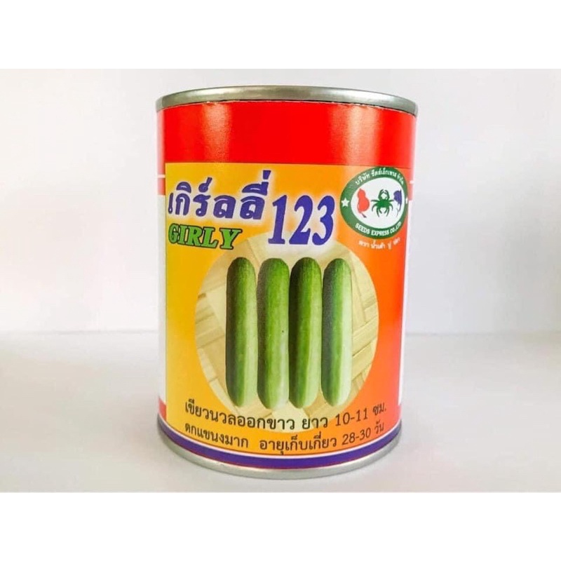 แตงกวาพันธุ์เกิร์ลลี่123