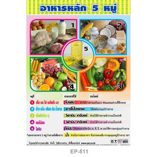 โปสเตอร์ อาหาร 5 หมู่ #EP-511 โปสเตอร์พลาสติก PP โปสเตอร์สื่อการเรียนการสอน สื่อการเรียนรู้