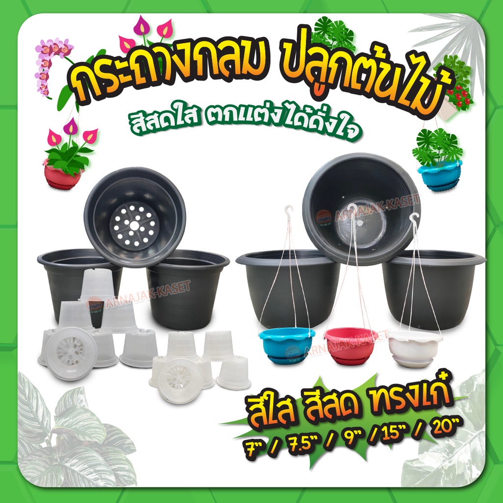 กระถางต้นไม้ กระถางปลูกแคคตัส "แบบกลม" กระถางต้นไม้พลาสติก  ขนาด 7 / 9 / 15 นิ้ว
