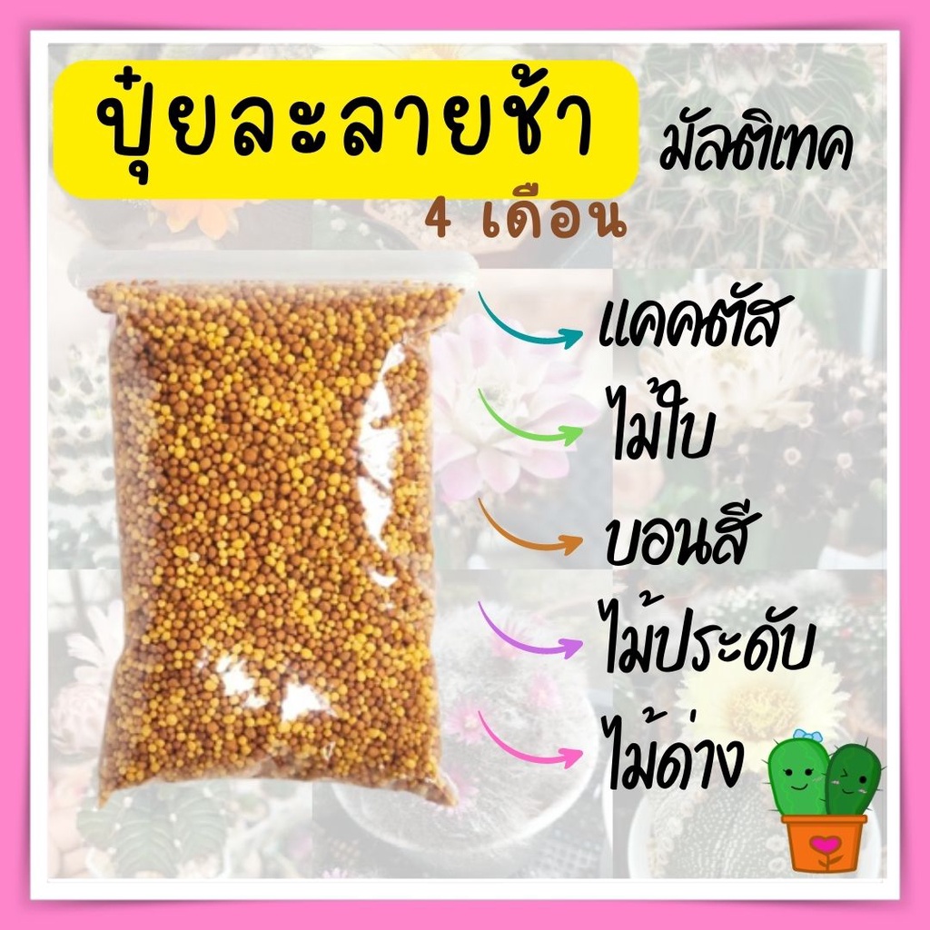 ปุ๋ยละลายช้า ปุ๋ย มัลติเทค ( ออสโมโค้ท ออสโมโคท ปุ๋ยแคคตัส ไม้ใบ ไม้อวบน้ำ กุหลาบหิน ไม้ดอก ไม้มงคล ) แบ่งขาย