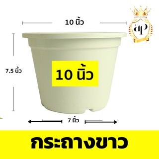 10 นิ้ว กระถางต้นไม้พลาสติก กระถางดอกไม้ สีขาว กระถางพลาสติก จัดส่งเร็ว