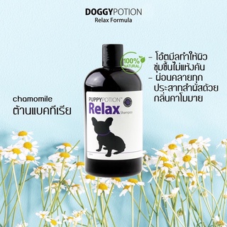 doggypotion แชมพูสำหรับน้องหมา ต้านแบคทีเรีย ทำให้รู้สึกผ่อนคลาย