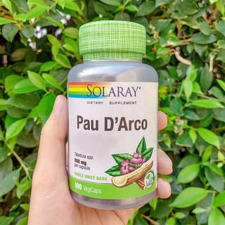 80% Sale!!! โปรดอ่าน EXP: 04/2023 สารสกัดสมุนไพรจากทวีปอเมริกา Solaray® Pau DArco 550 mg 100 VegCaps