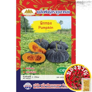 เมล็ดพันธุ์ฟักทอง (Pumpkin Seeds ; OP) ติดผลดก รสชาติอร่อย ตราภูเขาทอง花园/seeds/儿童/香菜/生菜/帽子/内裤/园艺/玫瑰/芹菜//เมล็ด PFKB