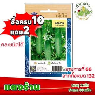 (ซื้อ10แถม2) เมล็ดพันธุ์ แตงร้าน Cucumber ประมาณ 60เมล็ด เจียไต๋ เมล็ดพันธุ์พืช เมล็ดพันธุ์ผัก เมล็ดผัก เม็ดผัก