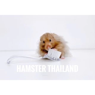 [Hamsterthailand] แปรงหวีขน แปรงขน อุปกรณ์สัตว์เลี้ยง ขนนุ่ม สำหรับสัตว์เลี้ยง แฮมสเตอร์