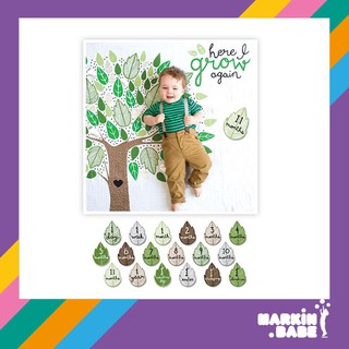 Lulujo MUSLIN SWADDLE 18 CARDS SET Tree I MARKIN.Babe