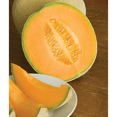 เมล็ด เมล่อน เฮลเบส จัมโบ้ - Hale's best jumbo Melon