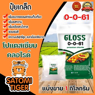 ปุ๋ยเกล็ด 0-0-61 โปแตสเซียมคลอไรด์ (GLOSS) แบ่งขาย แพ็ค 1 กิโลกรัม potassium chloride ปุ๋ยเกร็ด ปุ๋ยไฮโดร ปุ๋ยเร่งผล