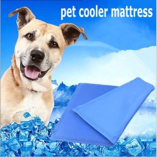 MI แผ่นเจลเย็น ที่นอนเย็น เบาะนอนเย็น สำหรับสุนัขและแมวPet Cool mat  Size S ขนาด 40x30 ซมA0001