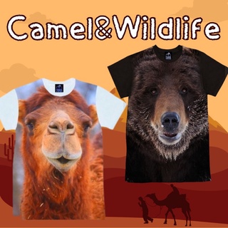 เสื้อยืดเด็กลาย ลายอูฐ camel&amp;หมีดำ Wildlife เสื้อเด็ก