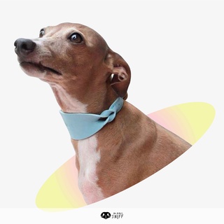 ปลอกคอสัตว์เลี้ยง Twist Mono pet collar (หนา) สลักชื่อ เบอร์โทรฟรี หนังนิ่มแท้ ปลอกคอสุนัข | Mr.&amp;Mrs.Sniff