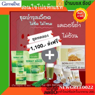 บำรุงเลือด ฟิตเฟิร์ม เวย์โปรตีน วีทกราส แคลอรี่ต่ำ ได้พลังงาน ไม่ซีด ไม่อ่อนเพลีย เพิ่มกล้ามเนื้อ ซ่อมแซมส่วนที่สึกหรอ