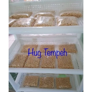 หัวเชื้อเทมเป้ หัวเชื้อเตมเป รากิ ขนาด 500 กรัม