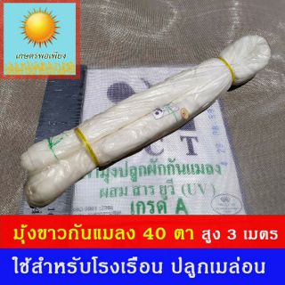 มุ้งขาวโรงเรือน กันเพลี้ย  40 ตา  สูง 3 เมตร ยาว 30 เมตร ยกม้วน ผสมสารป้องกัน UV