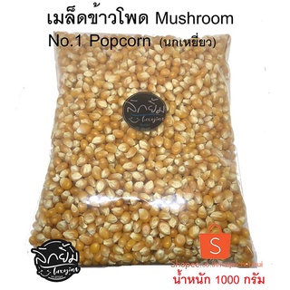 เมล็ดข้าวโพดพันธ์ุเห็ด mushroom ป๊อปคอร์นขนาด 1 kg ตรานกเหยี่ยว