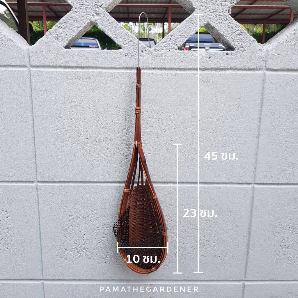 มุมมอง 5