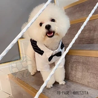 🇹🇭พร้อมส่ง🇹🇭 😎👔 เสื้อกั๊กสูท ทักซิโด้ งานแต่ง เสื้อออกงาน for สุนัข ( หมา ) , แมว