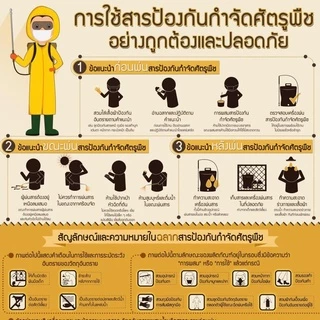 เรวิสต้า ชนิดซอง 2 กรัม กำจัดเพลี้ยทุกชนิด หนอนชอนใบ บั่ว ปลอดภัย ไร้กลิ่น ( อิมิดาคลอพริด 70% WG ) เกรด A+