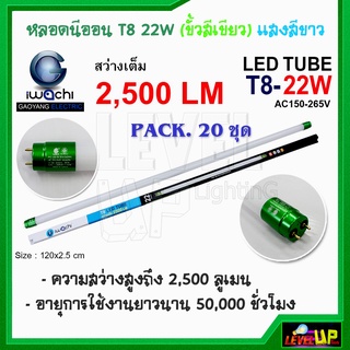 (แพ็ค 20 หลอด)หลอดไฟนีออน LED T8 22W (ขั้วสีเขียว) หลอดประหยัดไฟ T8 IWACHI หลอดไฟแบบยาว แสงสีขาว DAYLIGHT รับประกัน 1ปี