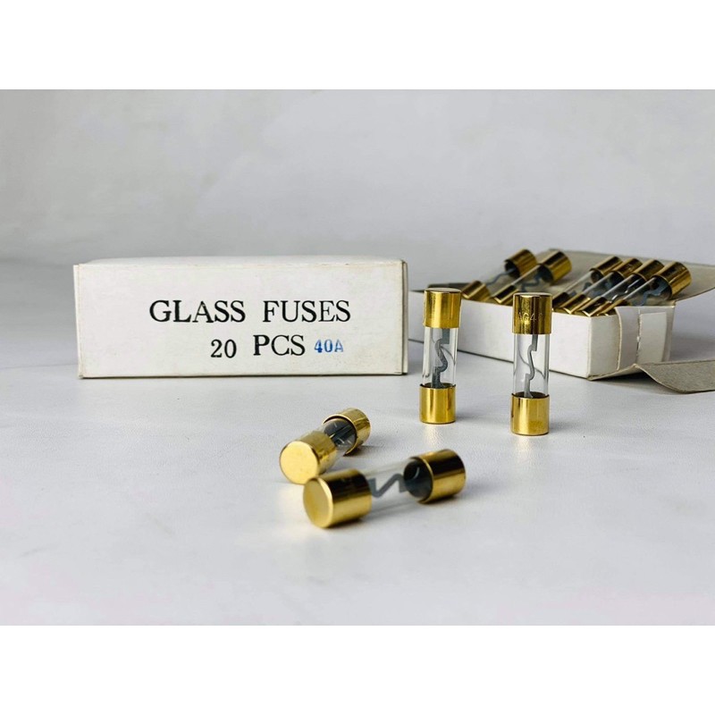Fuse 5AG 40A สุดคุ้ม ยกกล่อง 20 Pcs.