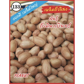 AAA 🇹🇭 ผักซอง A133# ถั่วลิสง ถั่วดินกบินทร์ มล็ดพันธุ์ เมล็ดพันธุ์ผัก เมล็ดพันธุ์ ผักสวนครัว ตราAAA สามเอ