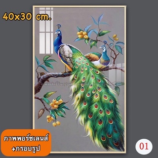 (ภาพ+กรอบรูป)รูปภาพนกยูง 🦚ภาพพอร์ชเลนส์มีหลายขนาด