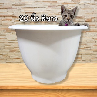 37POTS  กระถาง 20 นิ้ว งานหนา  ถูกที่สุด สั่งซื้อ 1ใบ:ออเดอร์