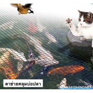 ตาข่ายคลุมบ่อลี้ยงปลาในสวน ป้องกันนก ป้องกันใบไม้ร่วง HDPE Net UV Protection 🔺มีหลายขนาดให้เลือก