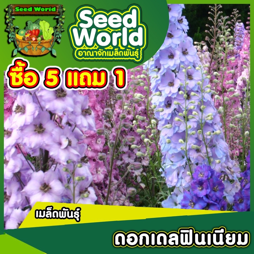 ดอกเดลฟินเนียม 50เมล็ด เมล็ดดอกไม้นำเข้า ปลูกง่าย ทนต่อทุกสภาพอากาศ ดอกสวยสดใส นิยมปลูกสวยงามกันทั่วไป